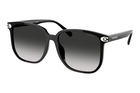 Okulary przeciwsłoneczne Coach CW419 (HC8413BD 50023C)