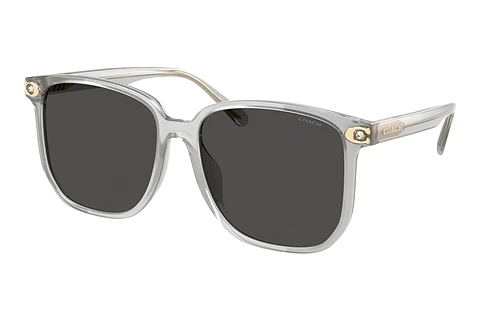Okulary przeciwsłoneczne Coach CW419 (HC8413BD 561487)