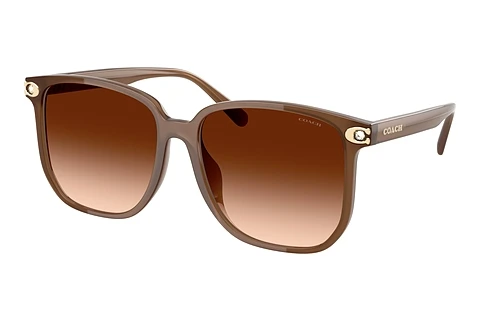 Okulary przeciwsłoneczne Coach CW419 (HC8413BD 580874)