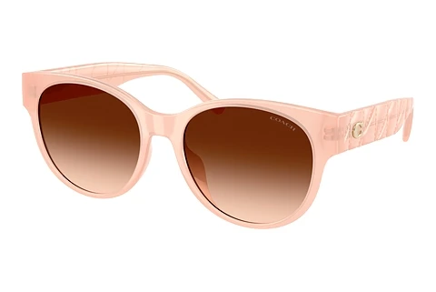 Okulary przeciwsłoneczne Coach CAE87 (HC8430D 511374)