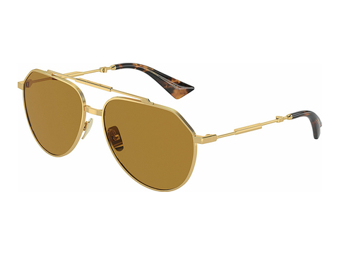 Okulary przeciwsłoneczne Dolce & Gabbana DG2302 02/53