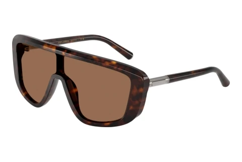 Okulary przeciwsłoneczne Dolce & Gabbana DG4520 502/73