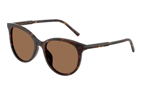 Okulary przeciwsłoneczne Dolce & Gabbana DG4540 502/13
