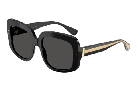 Okulary przeciwsłoneczne Dolce & Gabbana DG4557 501/87