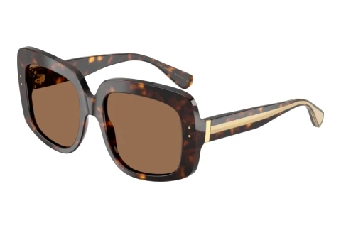 Okulary przeciwsłoneczne Dolce & Gabbana DG4557 502/73