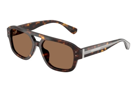 Okulary przeciwsłoneczne Dolce & Gabbana DG4561 502/73