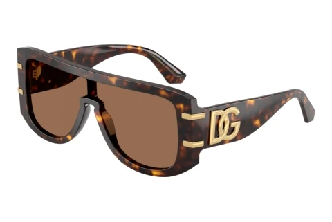 Okulary przeciwsłoneczne Dolce & Gabbana DG4565 502/73