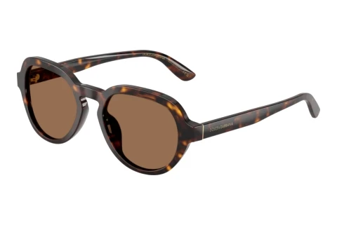 Okulary przeciwsłoneczne Dolce & Gabbana DG4567 502/73