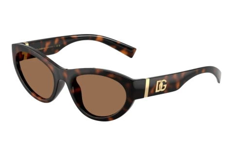 Okulary przeciwsłoneczne Dolce & Gabbana DG6207 502/73