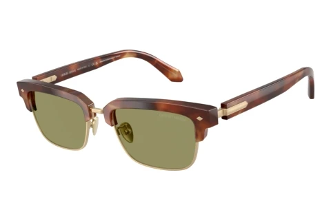 Okulary przeciwsłoneczne Giorgio Armani AR8243 630214