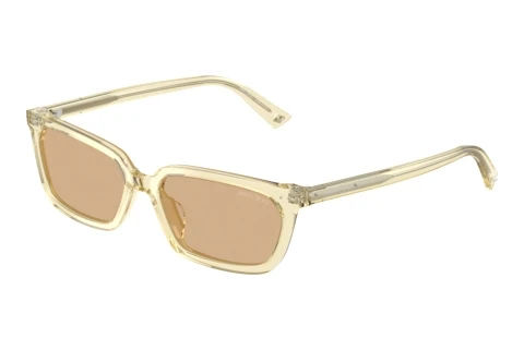 Okulary przeciwsłoneczne Jimmy Choo JC5050U 5083/8