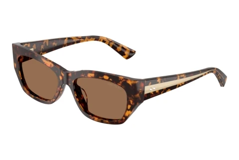 Okulary przeciwsłoneczne Jimmy Choo JC5071BU 512173