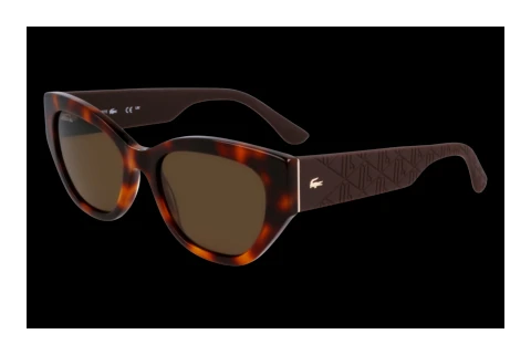 Okulary przeciwsłoneczne Lacoste L6047S N 214