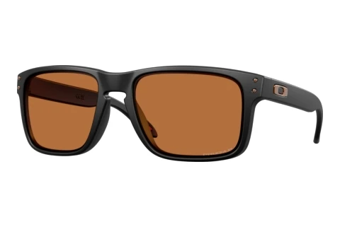 Okulary przeciwsłoneczne Oakley HOLBROOK (OO9102 9102AM)