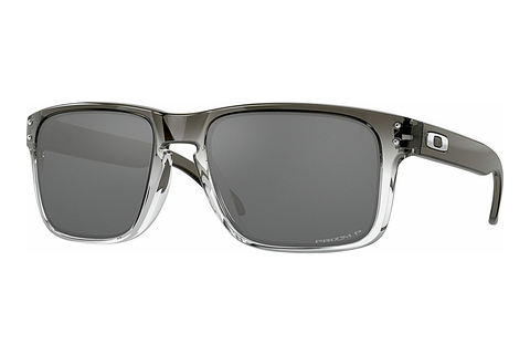 Okulary przeciwsłoneczne Oakley HOLBROOK (OO9102 9102O2)