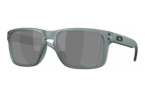 Okulary przeciwsłoneczne Oakley HOLBROOK (OO9102 9102Z4)