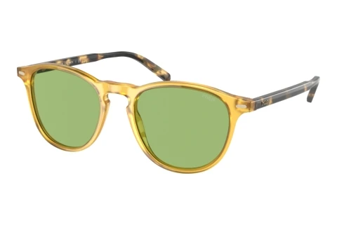 Okulary przeciwsłoneczne Polo PH4181 5005/2