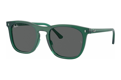 Okulary przeciwsłoneczne Ray-Ban RB2210 6615B1