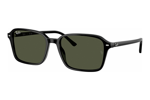 Okulary przeciwsłoneczne Ray-Ban RAIMOND (RB2231 901/31)