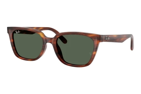 Okulary przeciwsłoneczne Ray-Ban RB2243D 954/71