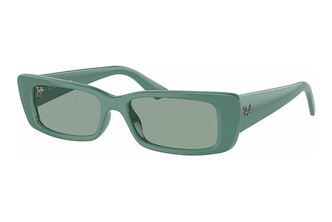 Okulary przeciwsłoneczne Ray-Ban TERU (RB4425 676282)