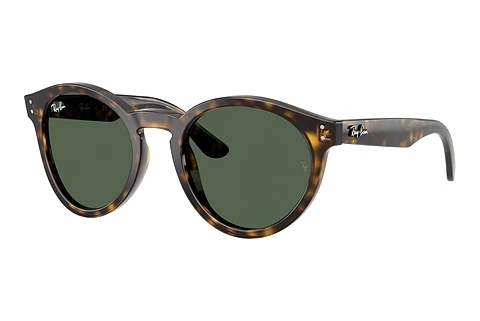 Okulary przeciwsłoneczne Ray-Ban RBR0505S 6790VR