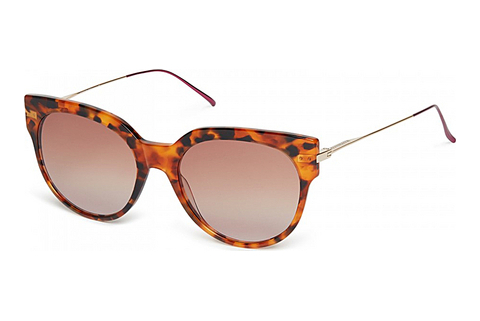 Okulary przeciwsłoneczne Scotch and Soda 507005 104