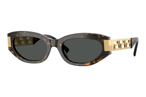 Okulary przeciwsłoneczne Versace VE4501 552887