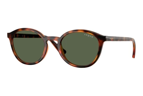 Okulary przeciwsłoneczne Vogue Eyewear VJ2033 W65671