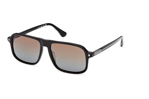 Okulary przeciwsłoneczne Web Eyewear WE0396 05F