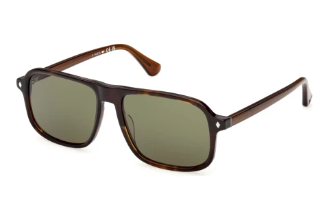Okulary przeciwsłoneczne Web Eyewear WE0396 56N