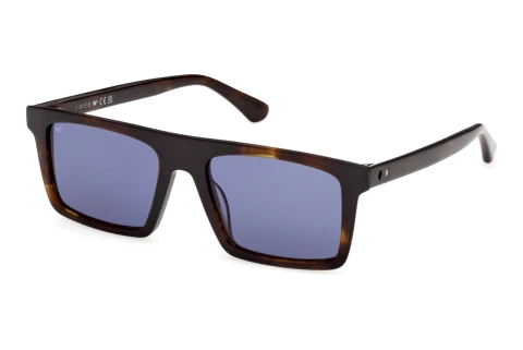 Okulary przeciwsłoneczne Web Eyewear WE0397 52V