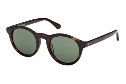 Okulary przeciwsłoneczne Web Eyewear WE0398 52N