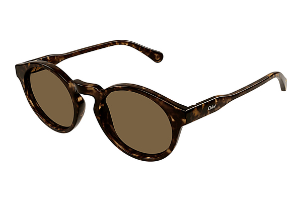 Okulary przeciwsłoneczne Chloé CC0014S 006