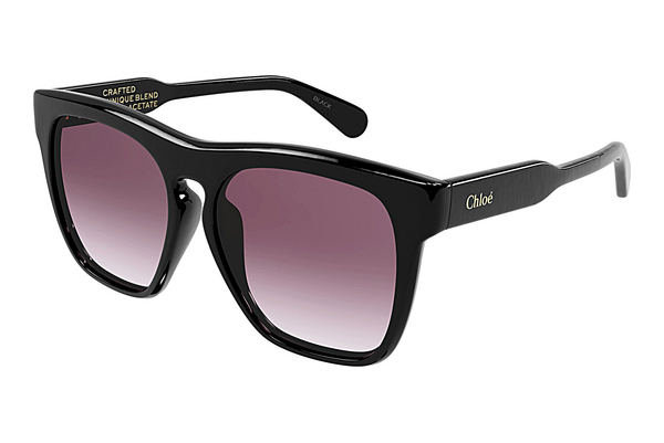 Okulary przeciwsłoneczne Chloé CH0149SA 001