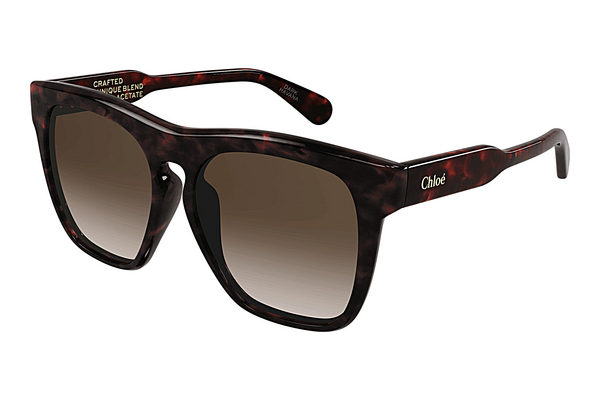 Okulary przeciwsłoneczne Chloé CH0149SA 002