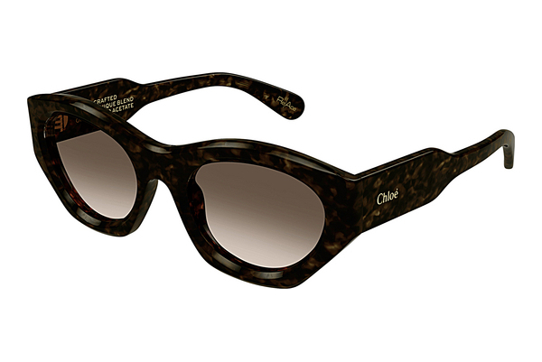 Okulary przeciwsłoneczne Chloé CH0220S 002