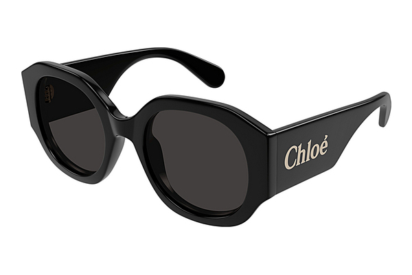 Okulary przeciwsłoneczne Chloé CH0234SK 001