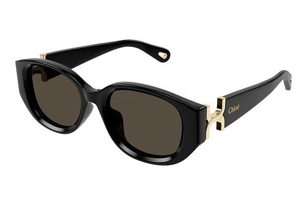 Okulary przeciwsłoneczne Chloé CH0237SK 001