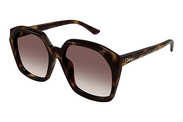 Okulary przeciwsłoneczne Chloé CH0280S 006