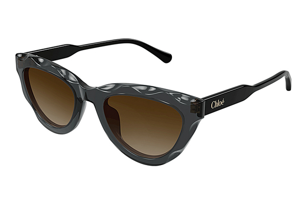 Okulary przeciwsłoneczne Chloé CH0294S 005