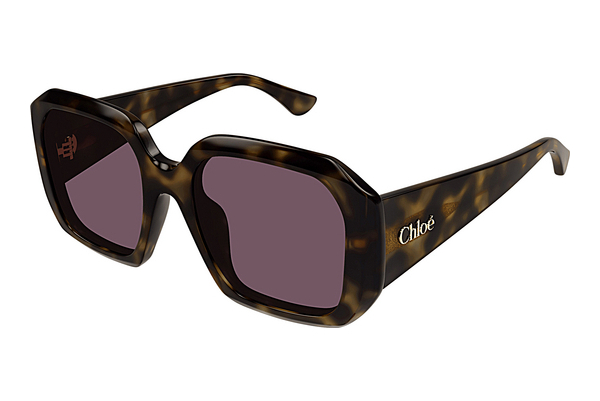 Okulary przeciwsłoneczne Chloé CH0300S 002