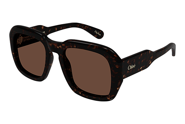 Okulary przeciwsłoneczne Chloé CH0310S 002