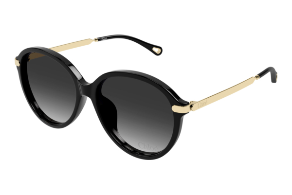 Okulary przeciwsłoneczne Chloé CH0358SK 001