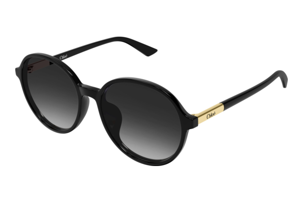 Okulary przeciwsłoneczne Chloé CH0365SK 001