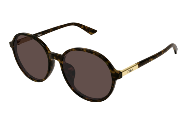 Okulary przeciwsłoneczne Chloé CH0365SK 002