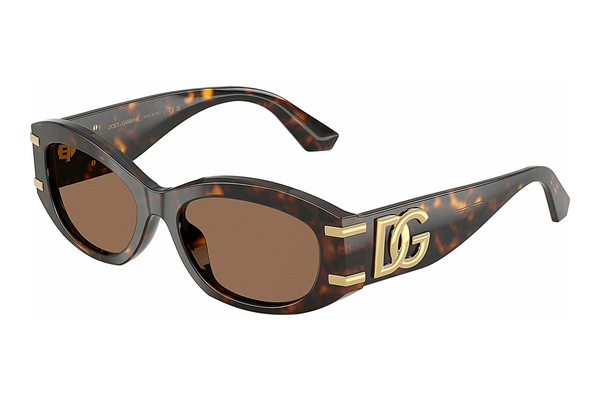 Okulary przeciwsłoneczne Dolce & Gabbana DG4502 502/73