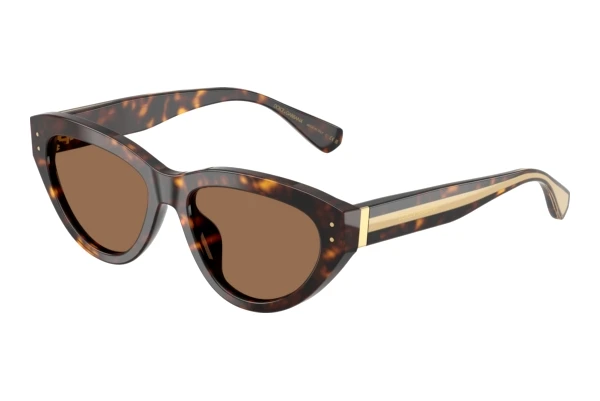 Okulary przeciwsłoneczne Dolce & Gabbana DG4558 502/73