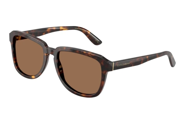 Okulary przeciwsłoneczne Dolce & Gabbana DG4566 502/73