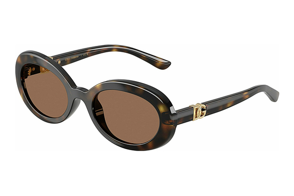 Okulary przeciwsłoneczne Dolce & Gabbana DX6007U 502/73